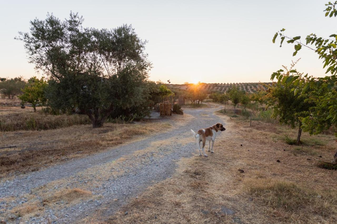 Monte Da Estrela - Country House & Spa Guest House Mourao Exterior photo